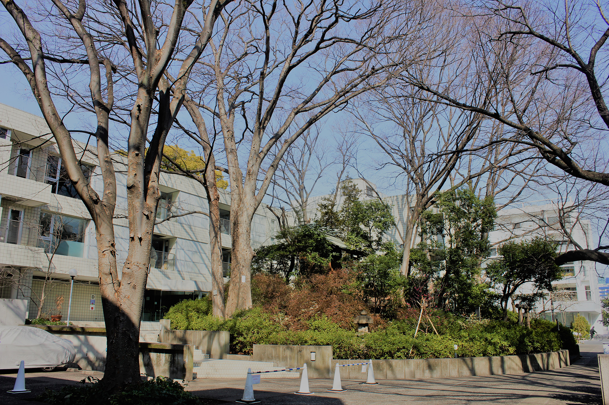 Hillside Terrace 恵比寿代官山の不動産屋ならmrhomes ミスターホームズ Hillside Terrace 恵比寿代官山の不動産屋ならmrhomes ミスターホームズ